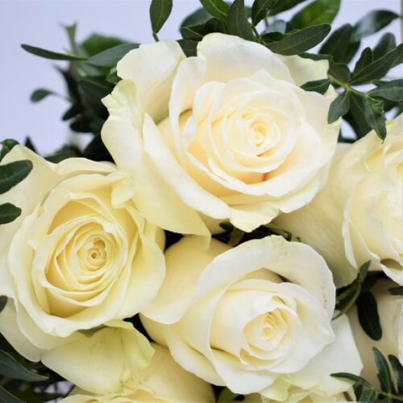 Rosas blancas detalle 1
