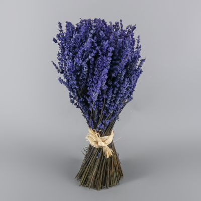 Lavanda 