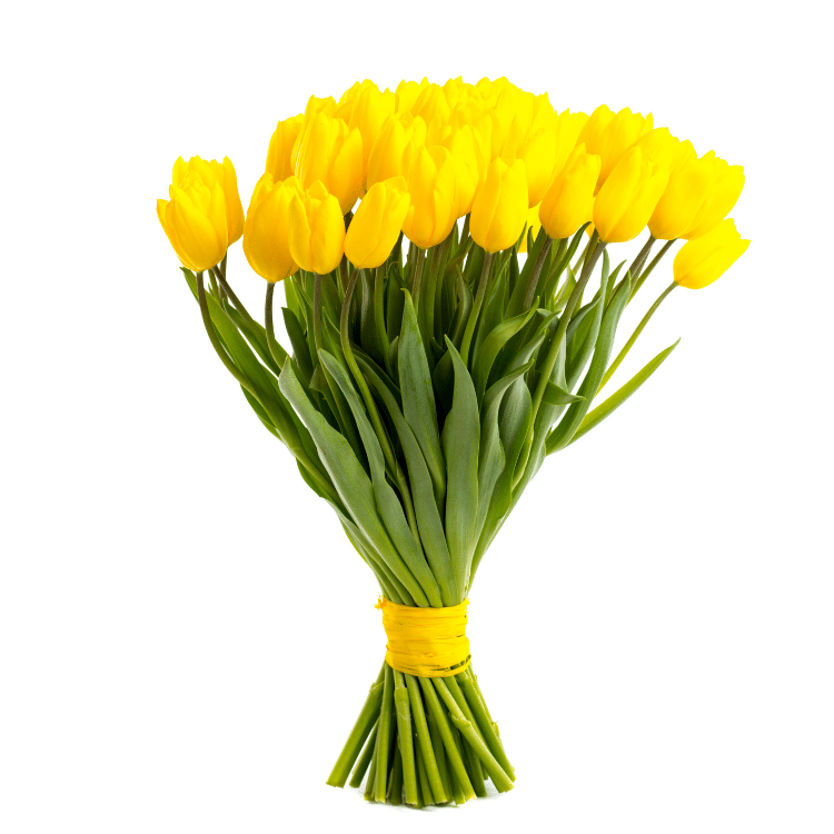 Tulipanes amarillos flores a domicilio Floristerías L´ART