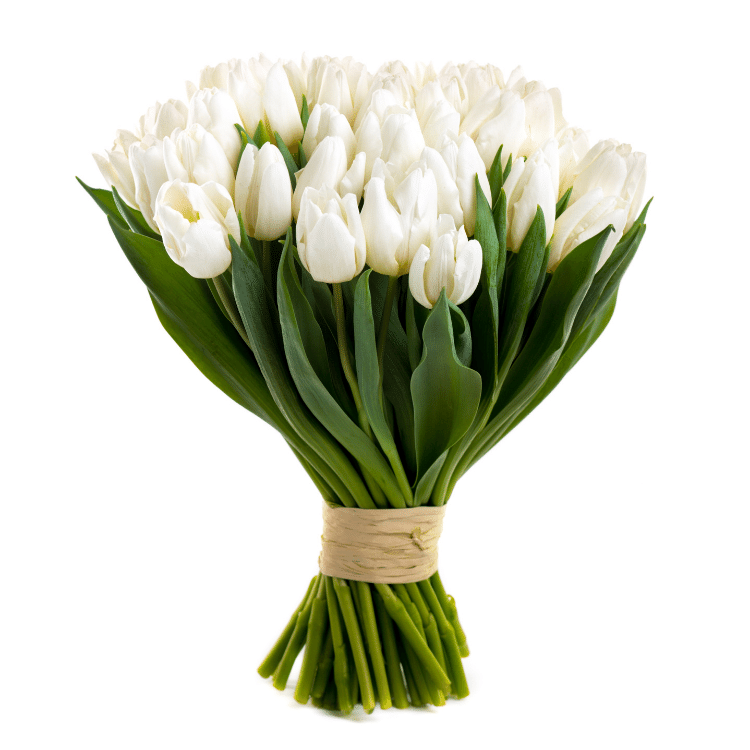 Tulipanes blancos flores a domicilio Floristerías L´ART