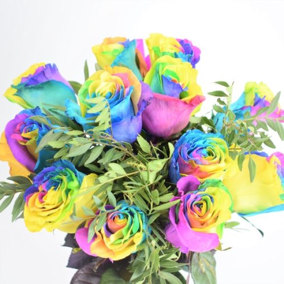 Rosas Rainbown para regalo